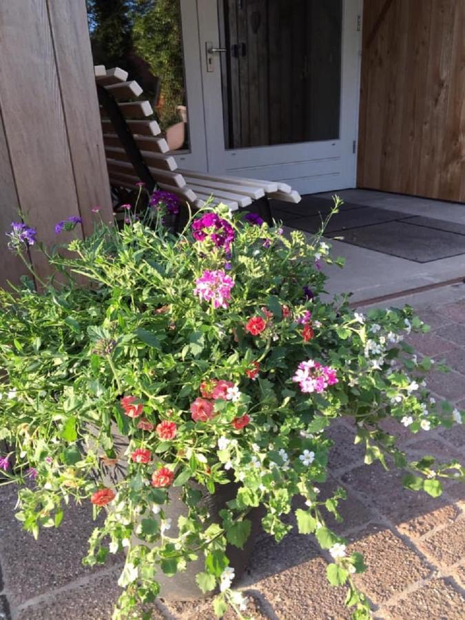 Bed and Breakfast Erve Toon'Boer Mander Esterno foto